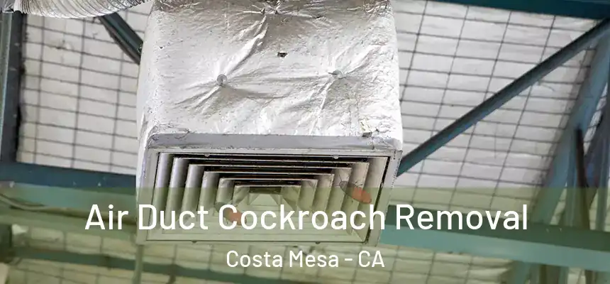  Air Duct Cockroach Removal Costa Mesa - CA