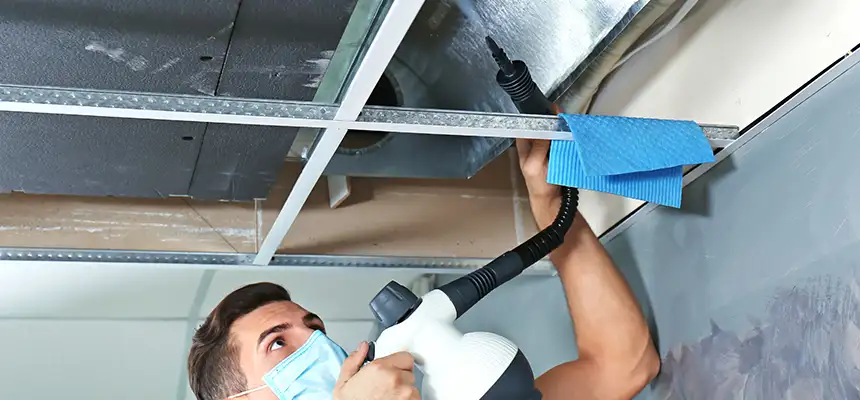 Our Air Duct Rodent Removal Services in Costa Mesa, CA