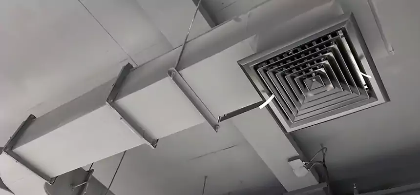 Restorative Allergy Relief Vent Cleaning – Coil, Blower & Housing Detail in Costa Mesa