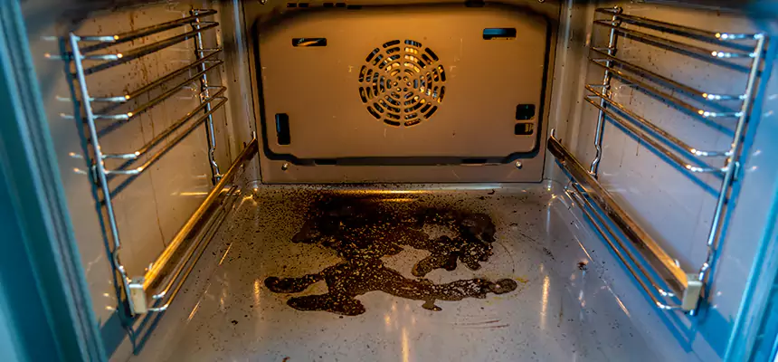 Our Dryer Vent Mold Cleaning Services in Costa Mesa, CA