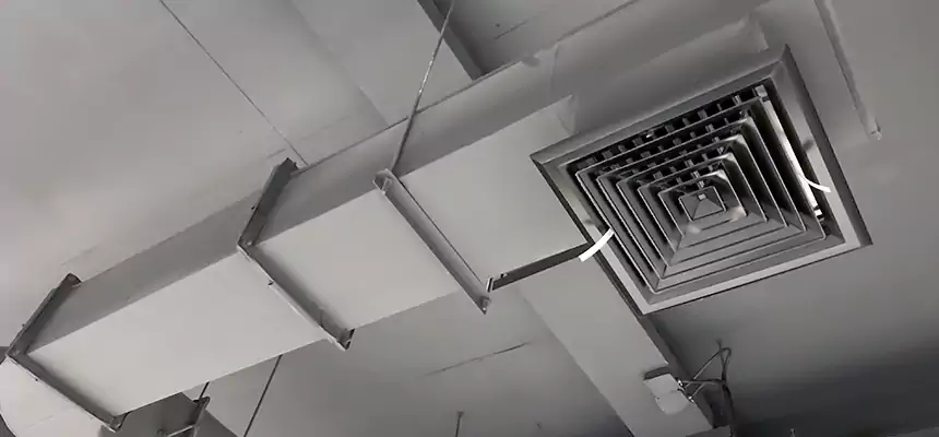 Our Pest Removal From Ducts Services in Costa Mesa, CA