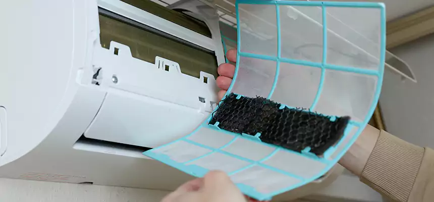 Gentle Ductwork Odor-Control Pet Dander Duct Cleaning in Costa Mesa, CA