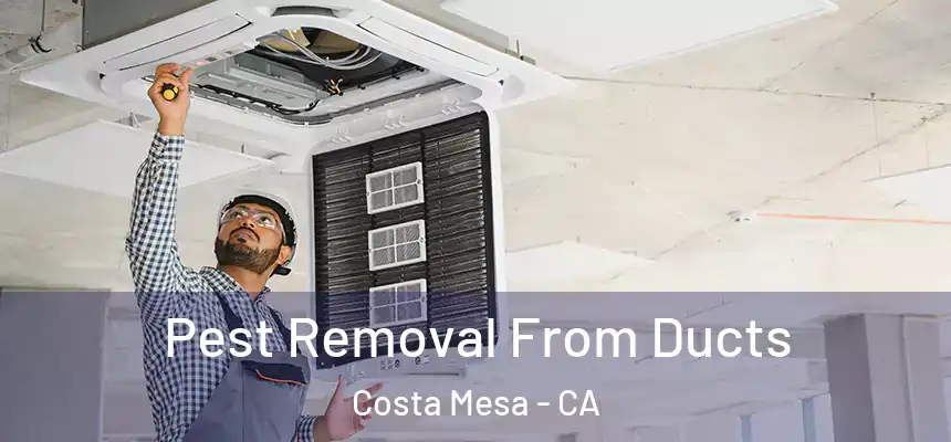 Pest Removal From Ducts Costa Mesa - CA
