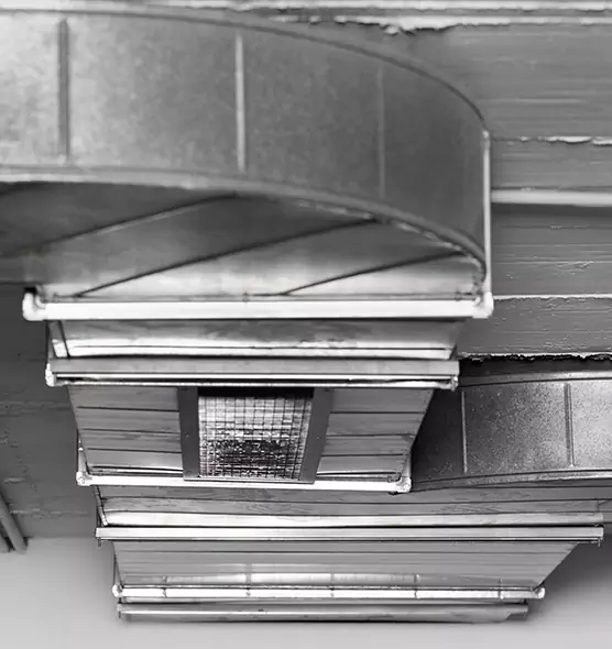 Professional Air Duct Pest Removal in Costa Mesa, CA