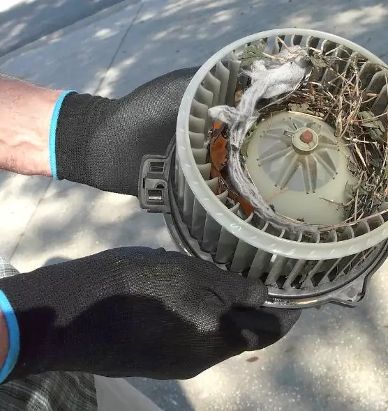 About Air Duct Rat Removal in Costa Mesa, CA