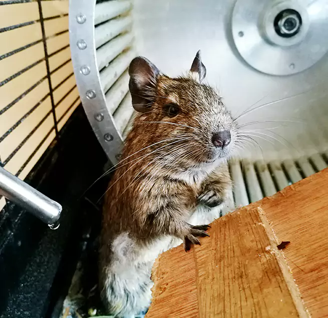 Why Homeowners & Businesses Trust Us Costa Mesa, CA